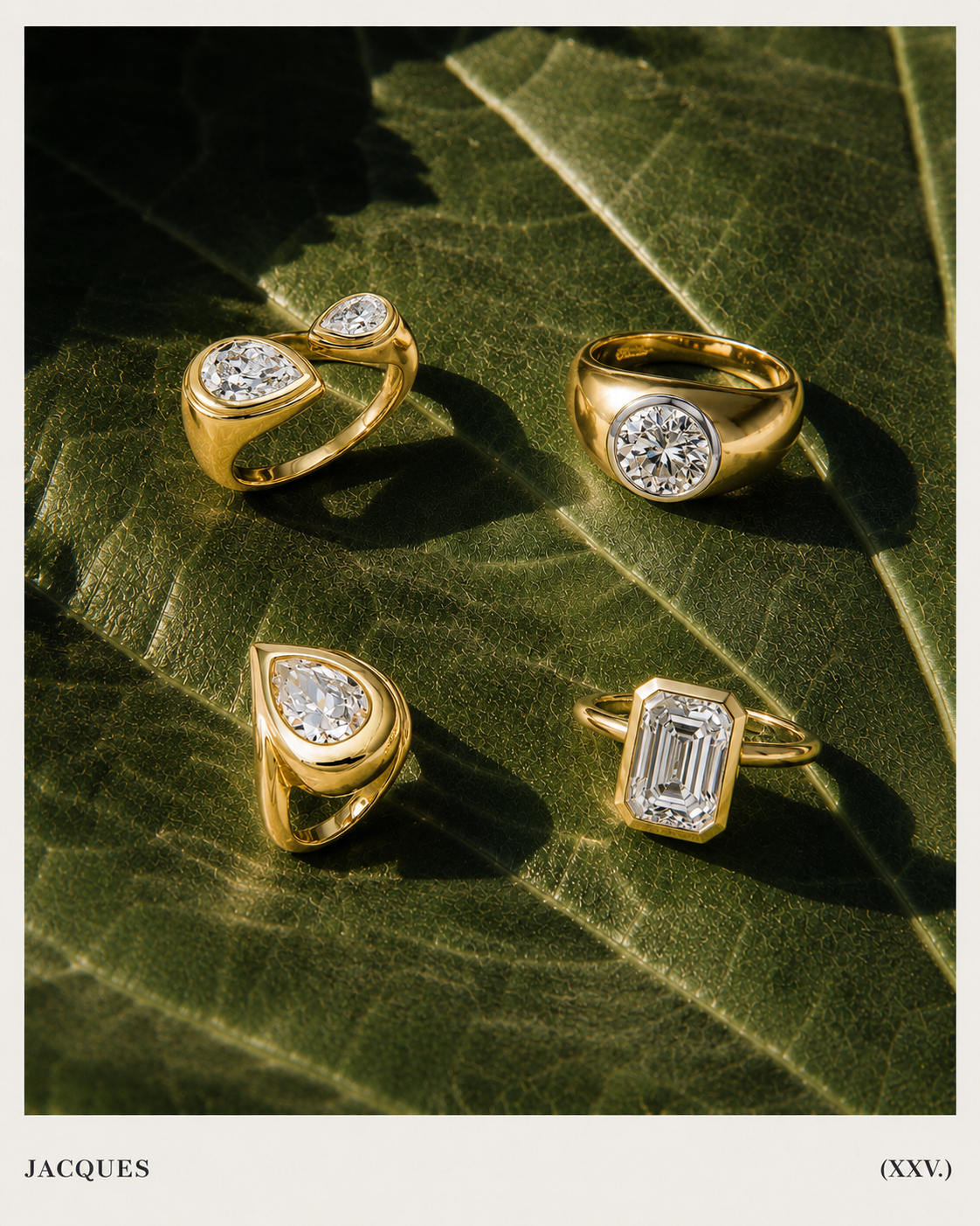 Signature Ring Collection